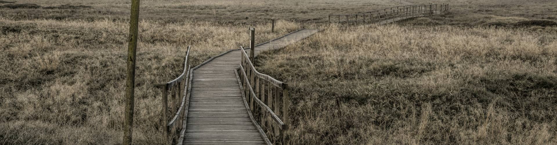 Božídarské rašeliniště