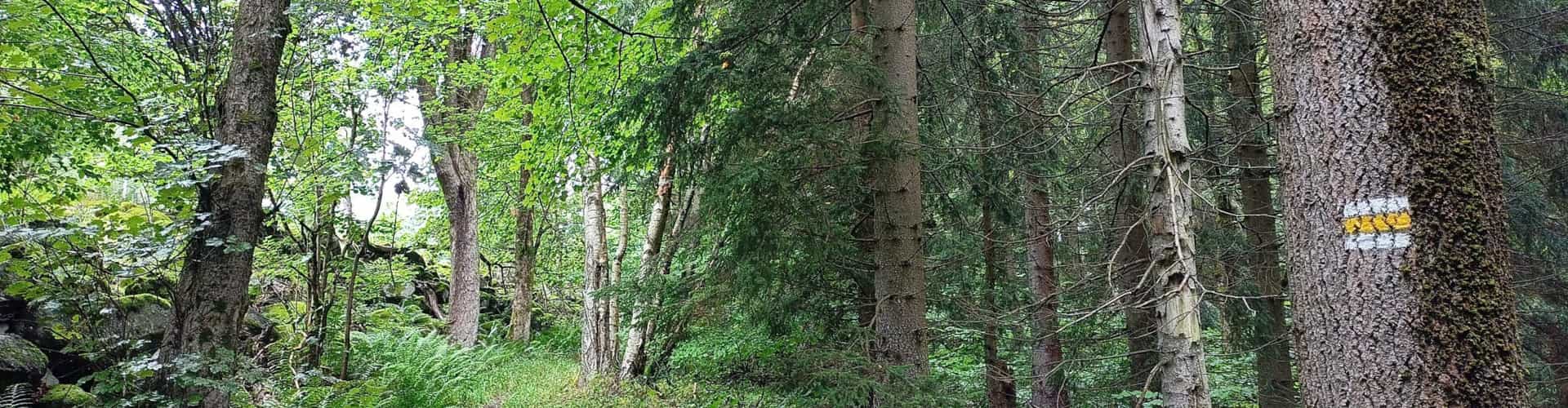 Okružní Horská naučná stezka Merklín