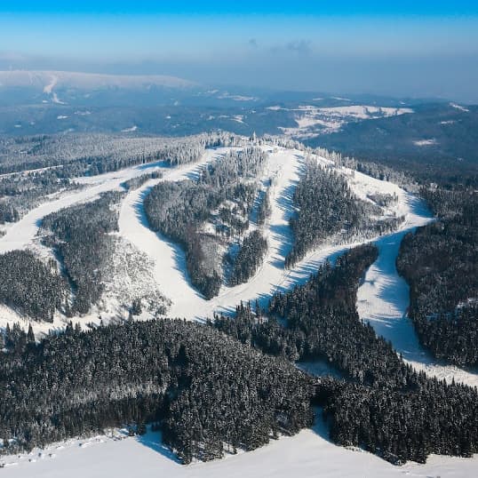 Plešivec v Krušných horách