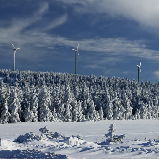 Krajina kolem Božího Daru v zimě