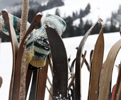 Ski/Bike Depot Residence Krušec