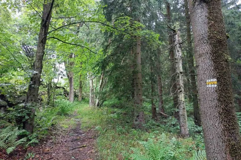 Okružní Horská naučná stezka Merklín