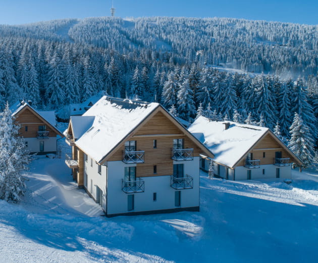 Apartmány Ski Chalet Klínovec