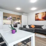 Ob&yacute;vac&iacute; pokoj s kuchyňskou linkou apartm&aacute;nu A4 komplexu Apartm&aacute;ny Hexagon