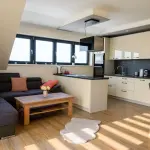 Ob&yacute;vac&iacute; pokoj s kuchyňsk&yacute;m koutem apartm&aacute;nov&eacute;ho domu Scandic Bož&iacute; Dar