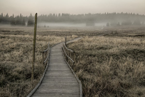 Božídarské rašeliniště