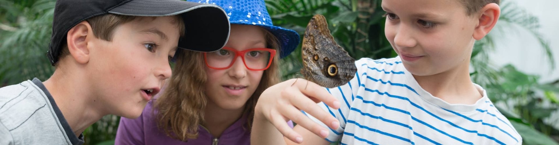 Motýlí dům v komplexu Diana