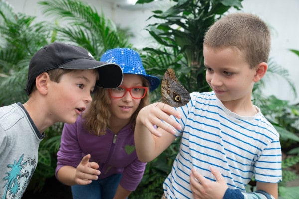 Motýlí dům v komplexu Diana