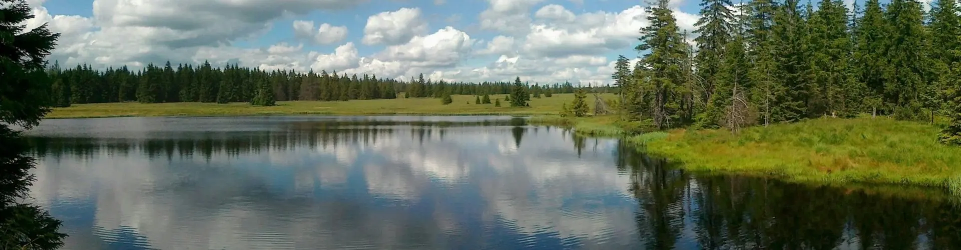 Mrtvý rybník