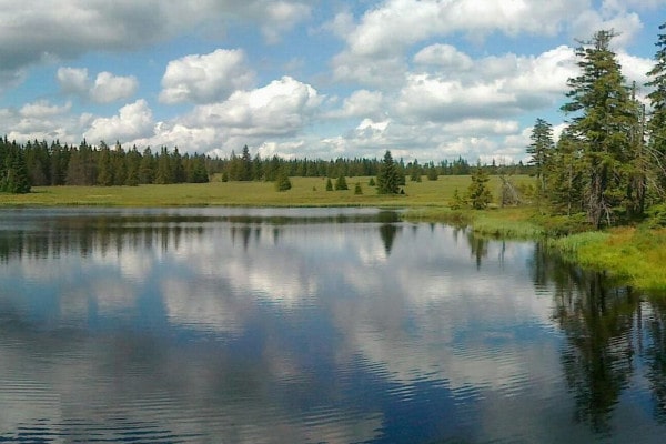 Mrtvý rybník
