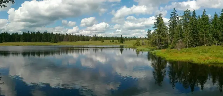 Mrtvý rybník