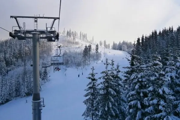 Skiare&aacute;l Ple&scaron;ivec