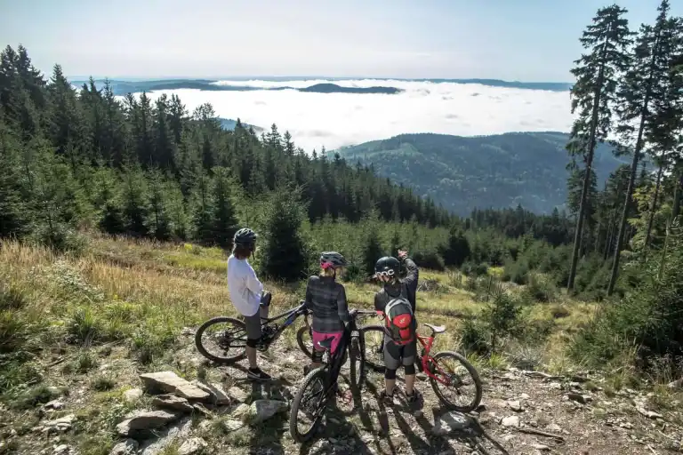 Trailpark Klínovec