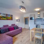 Apartm&aacute;nov&yacute; dům: Aparthotel Kl&iacute;novec Views &ndash; apartm&aacute;n: Comfort View