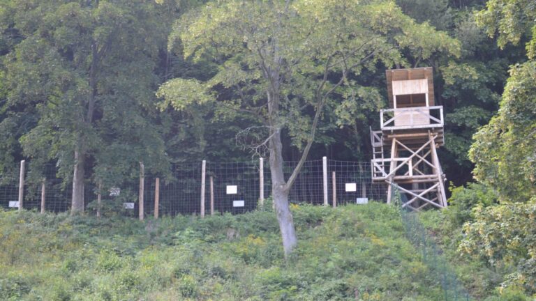 NS Jáchymovské peklo