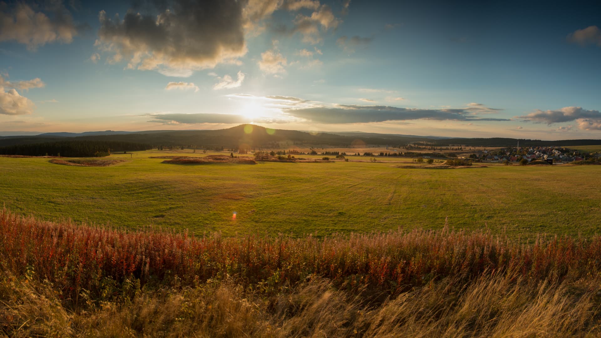 Příroda v Krušných horách