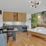 Apartm&aacute;ny Kl&iacute;novec Meadows, studiov&yacute; apartm&aacute;n