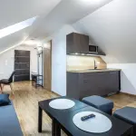 Kuchyňsk&yacute; kout apartm&aacute;nov&eacute;ho domu Apartm&aacute;ny PLESSBERG