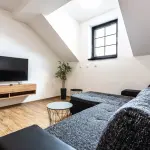 Ob&yacute;vac&iacute; pokoj apartm&aacute;nov&eacute;ho domu Apartm&aacute;ny PLESSBERG