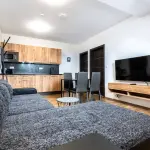 Ob&yacute;vac&iacute; pokoj s kuchyňsk&yacute;m koutem apartm&aacute;nov&eacute;ho domu Apartm&aacute;ny PLESSBERG
