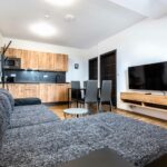 Obývací pokoj s kuchyňským koutem apartmánového domu Apartmány PLESSBERG