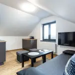 Ob&yacute;vac&iacute; pokoj apartm&aacute;nov&eacute;ho domu Apartm&aacute;ny PLESSBERG