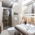 Koupelna se z&aacute;chodem apartm&aacute;nu Forest
