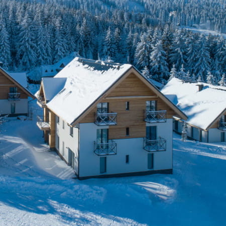 Exteriér komplexu Ski Chalet Klínovec