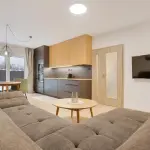 Ob&yacute;vac&iacute; pokoj apartm&aacute;nu 101