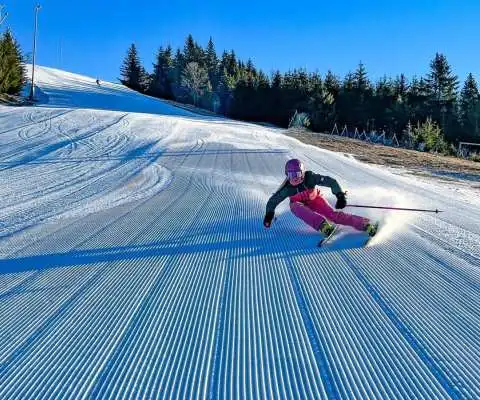 Skiare&aacute;l Ple&scaron;ivec