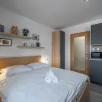 Abertamy Platz - Apartm&aacute;n 1