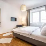 Apartm&aacute;ny U Pivovaru Bož&iacute; Dar - Apartm&aacute;n 3
