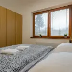 Apartm&aacute;ny U Pivovaru Bož&iacute; Dar - Apartm&aacute;n 6